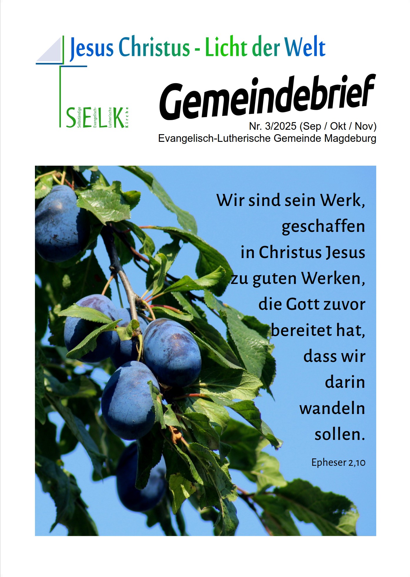 GemeindebriefMD2025 3